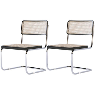 JASIWAY Rattan Dining Side Chair Set of 2 Stainless Steel Base